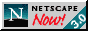 Netnow3.gif (1884 bytes)